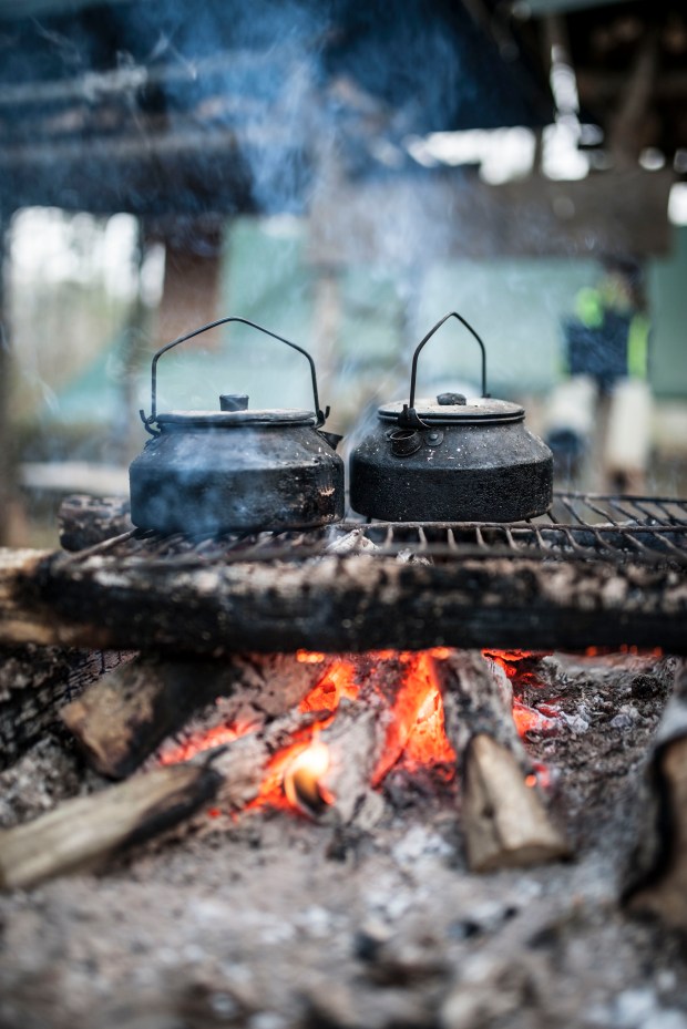 Cuisine-sauvage2-lacabane-anti-gaspi-blog