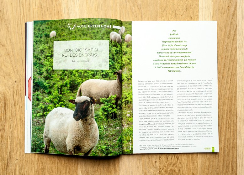 green-attitude-lacabane-antigaspi.com_7