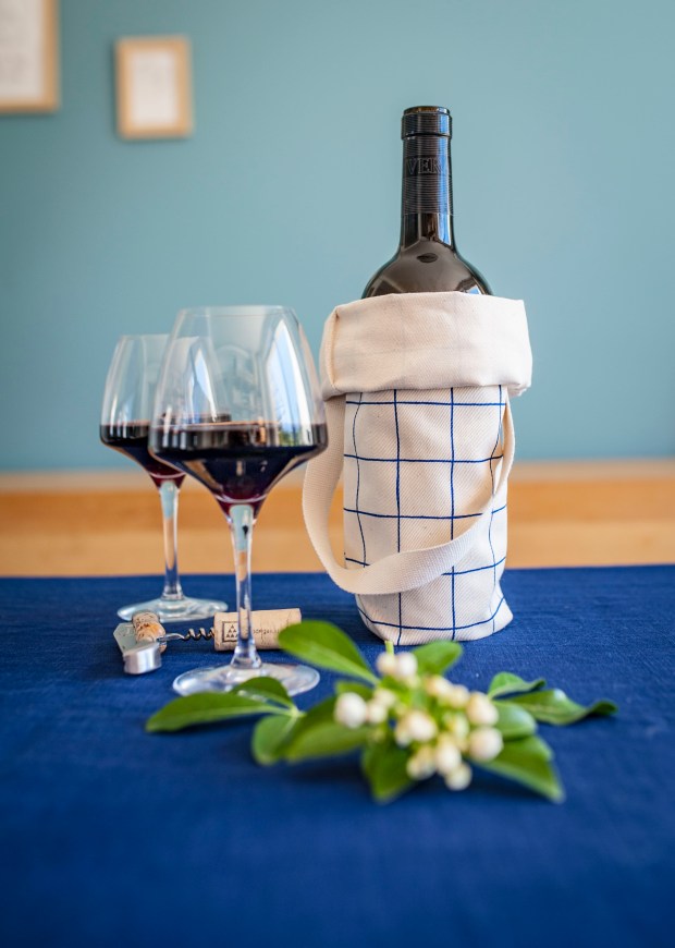 sac-a-bouteille-lacabane-antigaspi.com_2