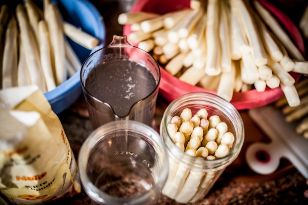 conserves-asperges-lacabane-antigaspi-blog_3