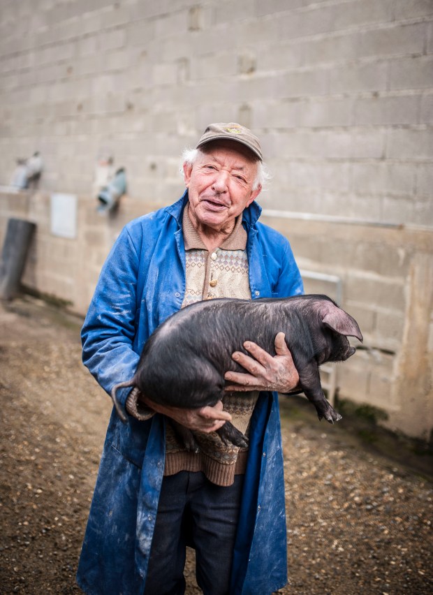 cochons-lacabane-antigaspi-blog