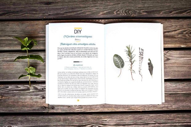 livre-les-epluchures-lacabane-antigaspi.com_5