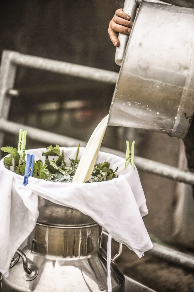 berger-basque-antigaspi-blog_11