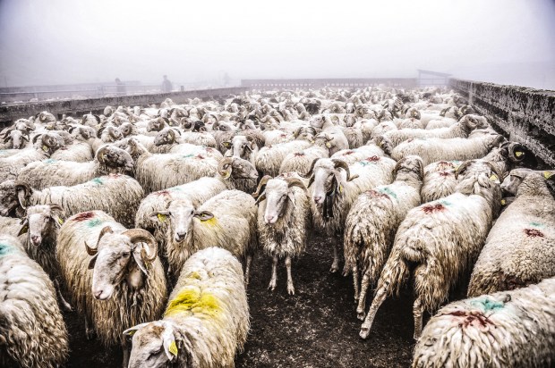 berger-basque-antigaspi-blog_12