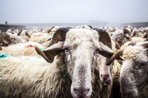 berger-basque-antigaspi-blog_2