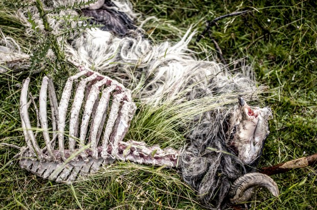 berger-basque-antigaspi-blog_4