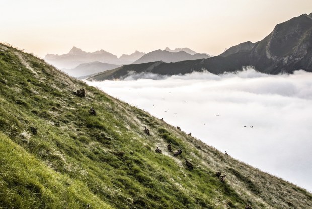 berger-basque-antigaspi-blog_9