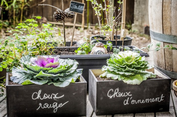 diy2-antigaspi-blog_4