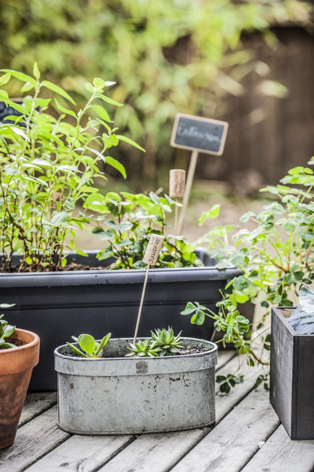 diy2-antigaspi-blog_6