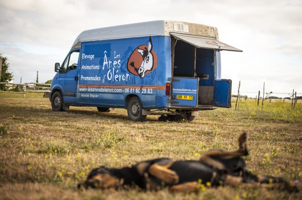 ane-oleron-antigaspi-blog3