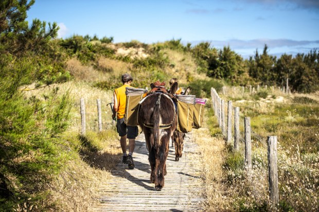 ane-oleron-antigaspi-blog4