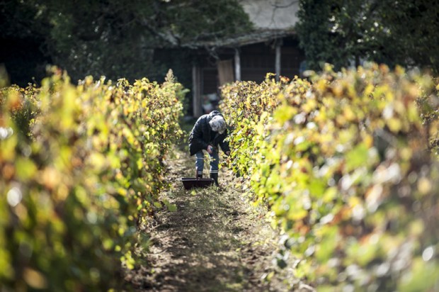 biordeaux-antigaspi-blog2