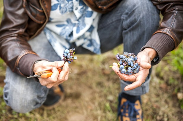 biordeaux-antigaspi-blog4