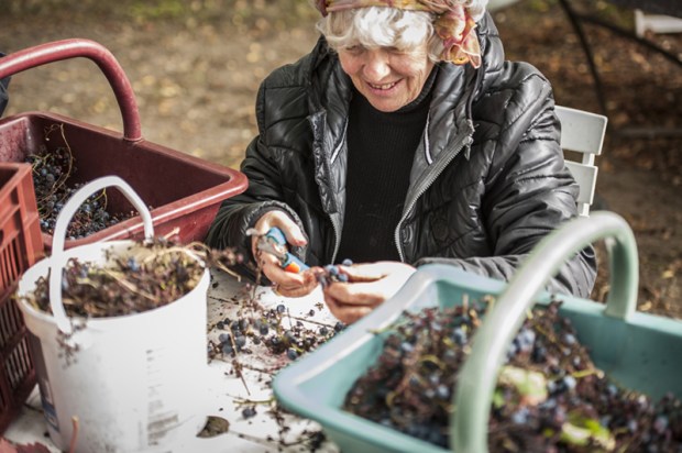 biordeaux-antigaspi-blog8