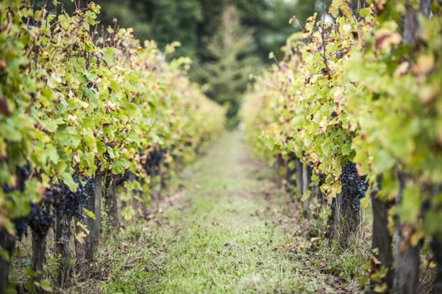 biordeaux-antigaspi-blog9