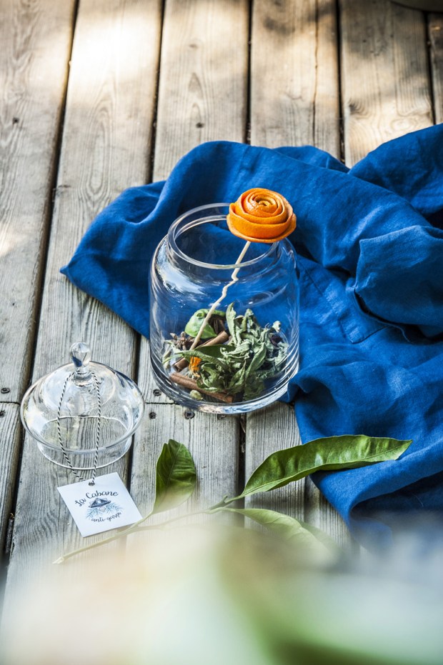 clementinedecorse1-antigaspi-blog3