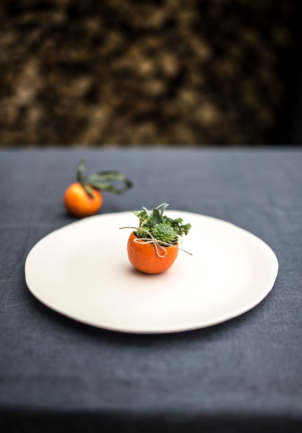 clementinedecorse4-antigaspi-blog-jpg