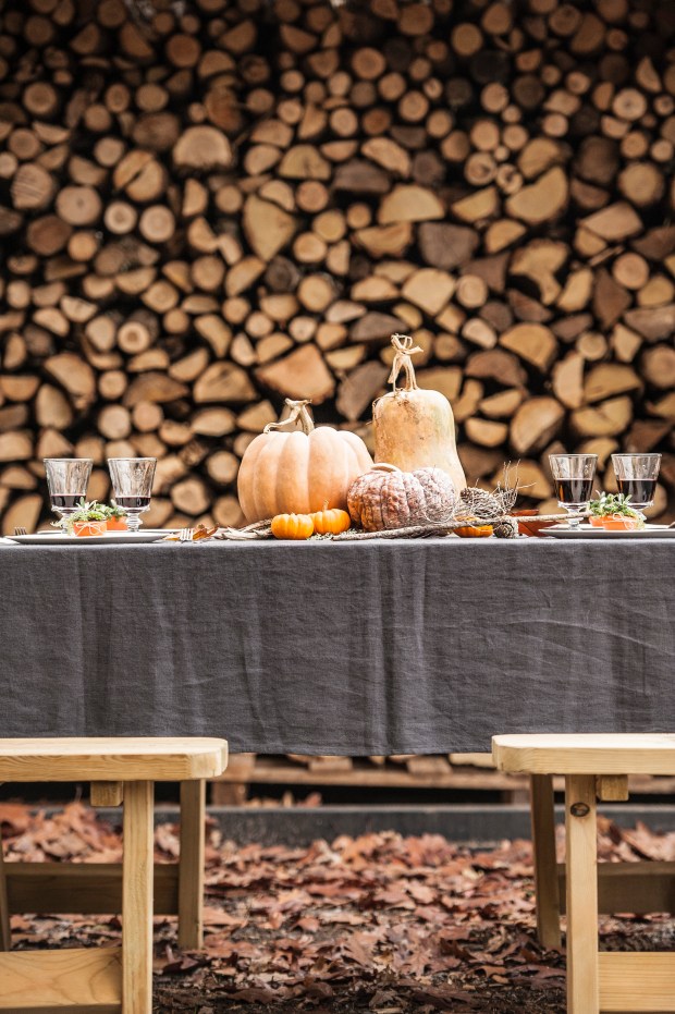 clementinedecorse4-antigaspi-blog-jpg_19