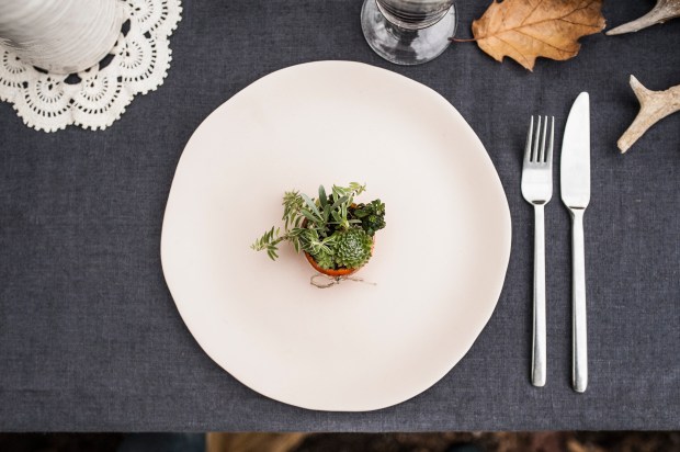 clementinedecorse4-antigaspi-blog-jpg_25