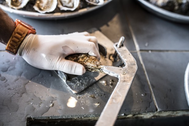 degustation-huitres-antigaspi-blog1