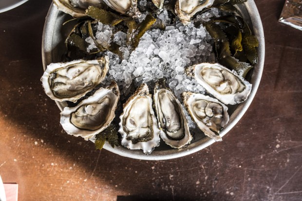 degustation-huitres-antigaspi-blog17