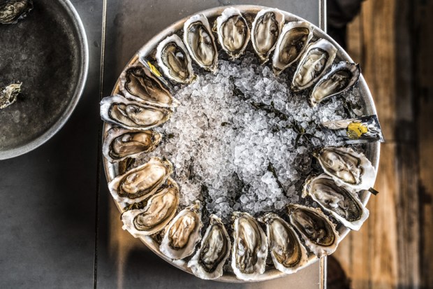 degustation-huitres-antigaspi-blog2