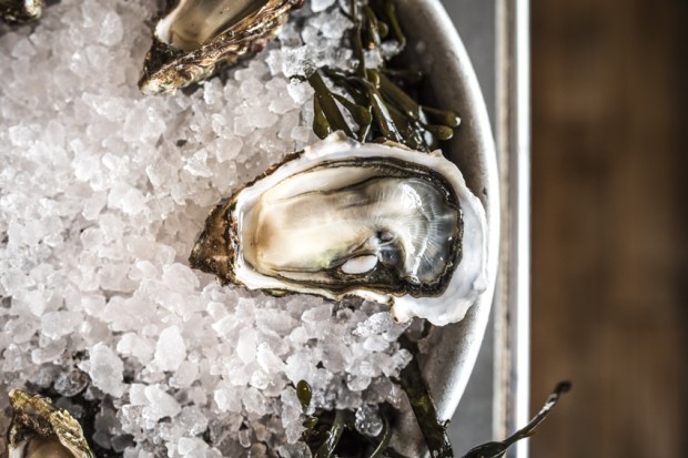 degustation-huitres-antigaspi-blog4