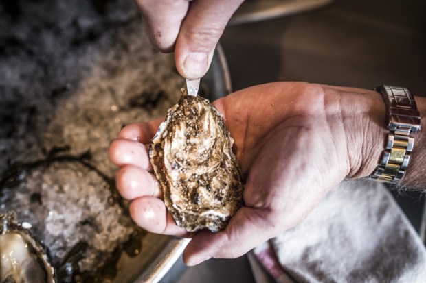 degustation-huitres-antigaspi-blog7