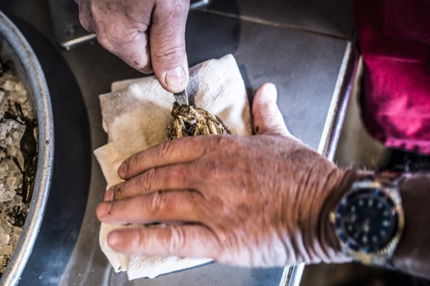 degustation-huitres-antigaspi-blog8