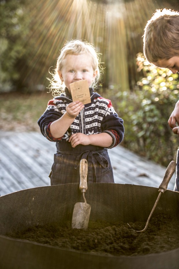 box-a-planter-antigaspi-blog_4