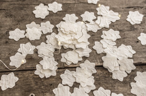 growing-paper-antigaspi-blog_5