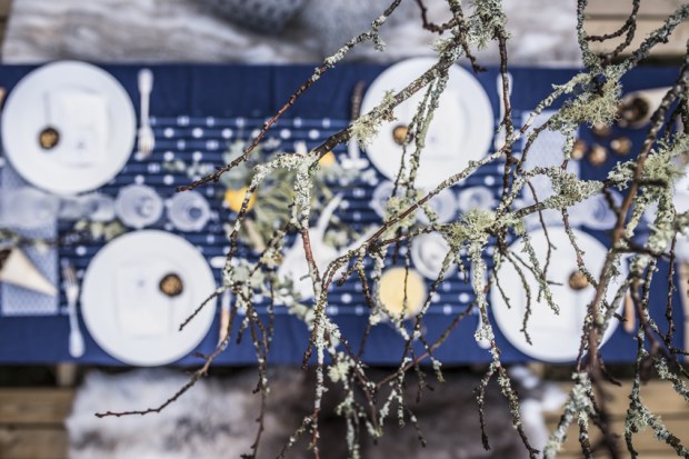 reveilloncitron14-antigaspi-blog