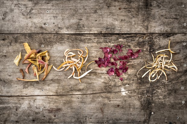 tisanes-antigaspi-blog