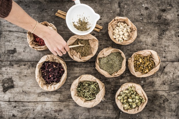 tisanes-antigaspi-blog_0