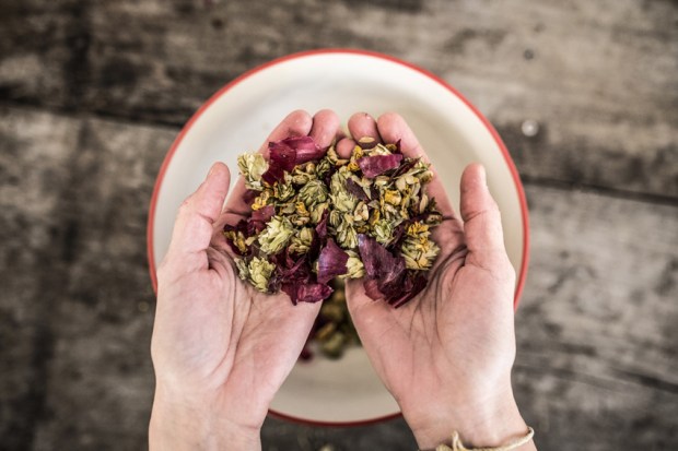 tisanes-antigaspi-blog_2