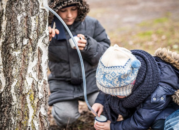 EAU-DE-BOULEAU-antigaspi-blog_4