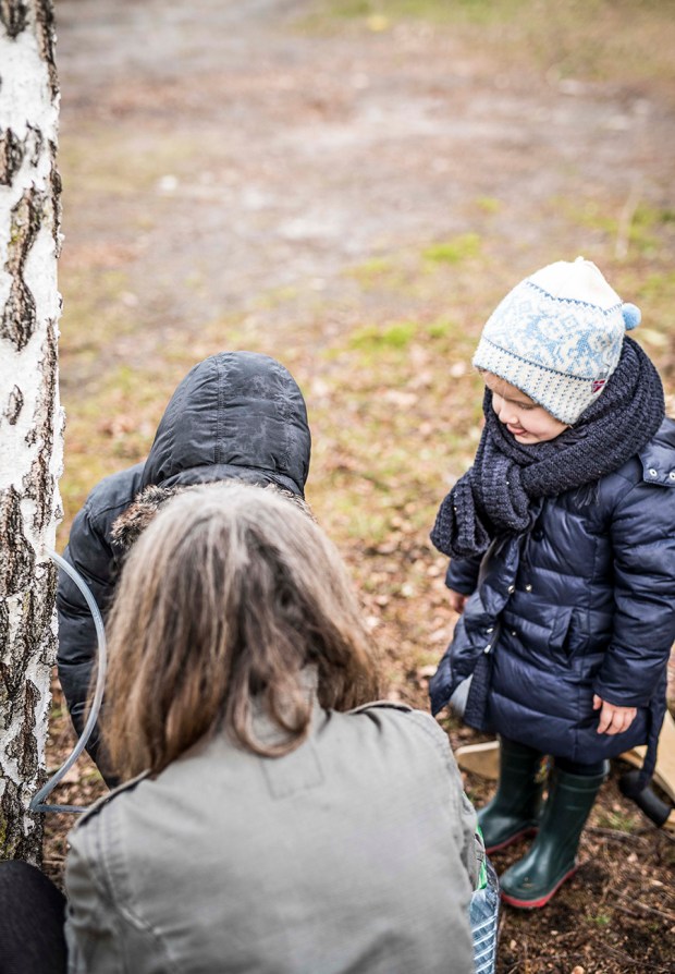 EAU-DE-BOULEAU-antigaspi-blog_5