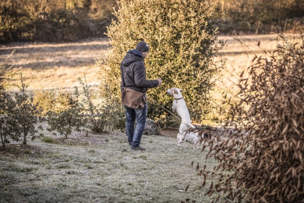 trufficulteur-antigaspi-blog-jpg