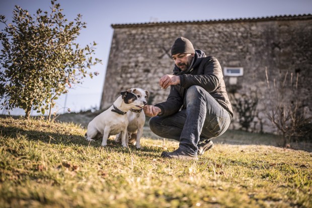 trufficulteur_18-antigaspi-blog-jpg