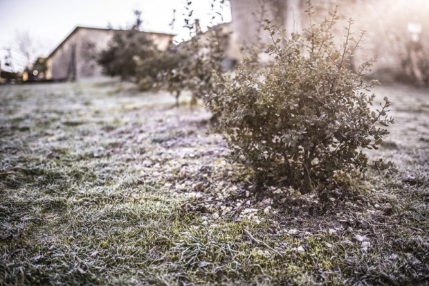 trufficulteur_2-antigaspi-blog-jpg