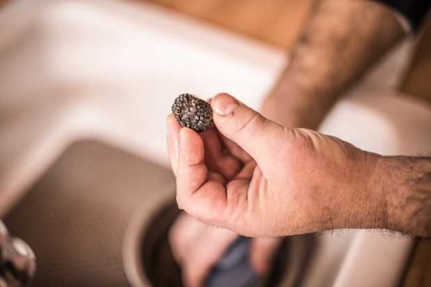 trufficulteur_20-antigaspi-blog-jpg