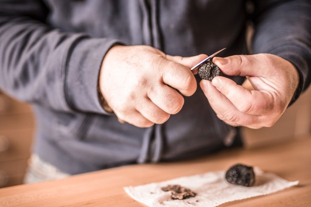 trufficulteur_21-antigaspi-blog-jpg