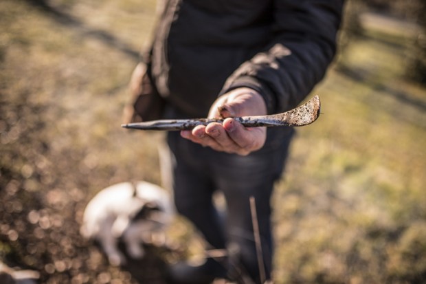 trufficulteur_9-antigaspi-blog-jpg