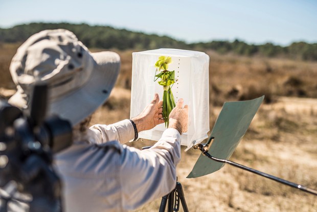 exflorateur-antigaspi-blog116