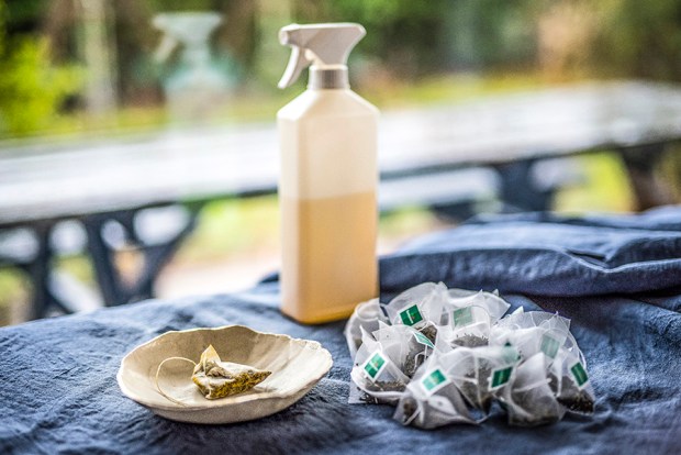 menage-de-printemps-antigaspi-blog5