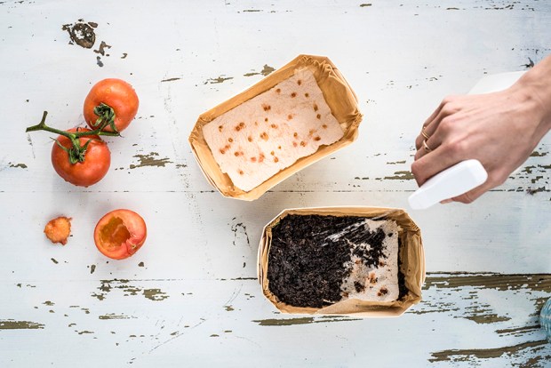 SEMIS-antigaspi-blog_14