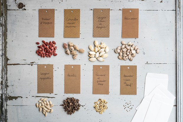 SEMIS-antigaspi-blog_15