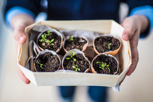 SEMIS_antigaspi-blog_7