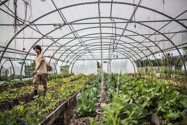 ECOLIEU JEANNOT_antigaspi-blog_15