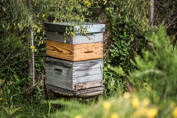 ECOLIEU JEANNOT_antigaspi-blog_6